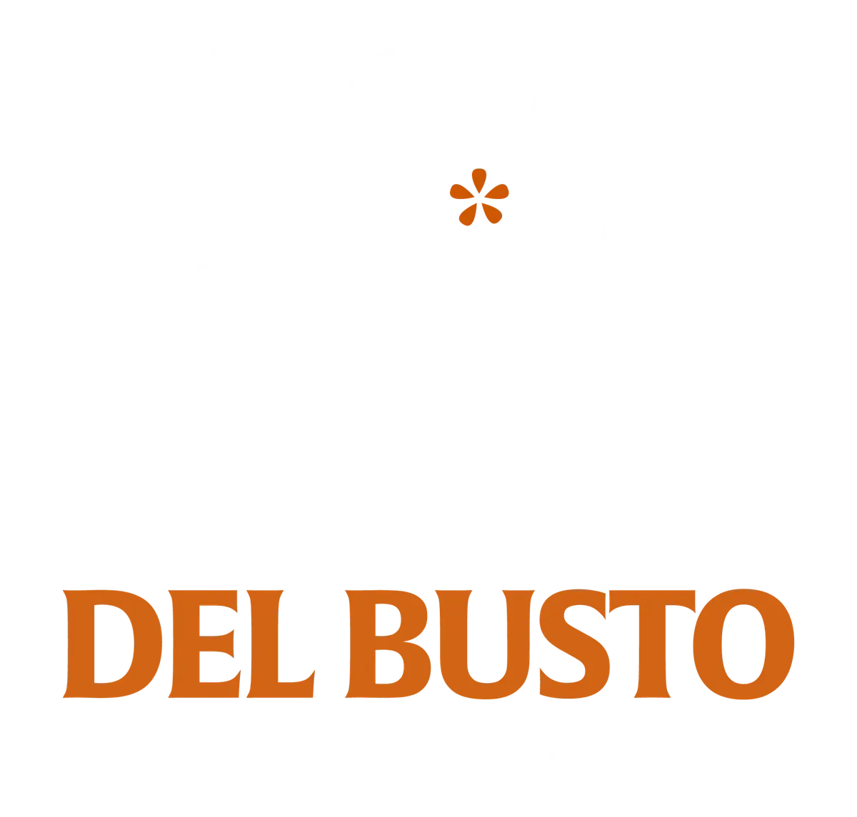 Del Busto Inversiones Mexicanas